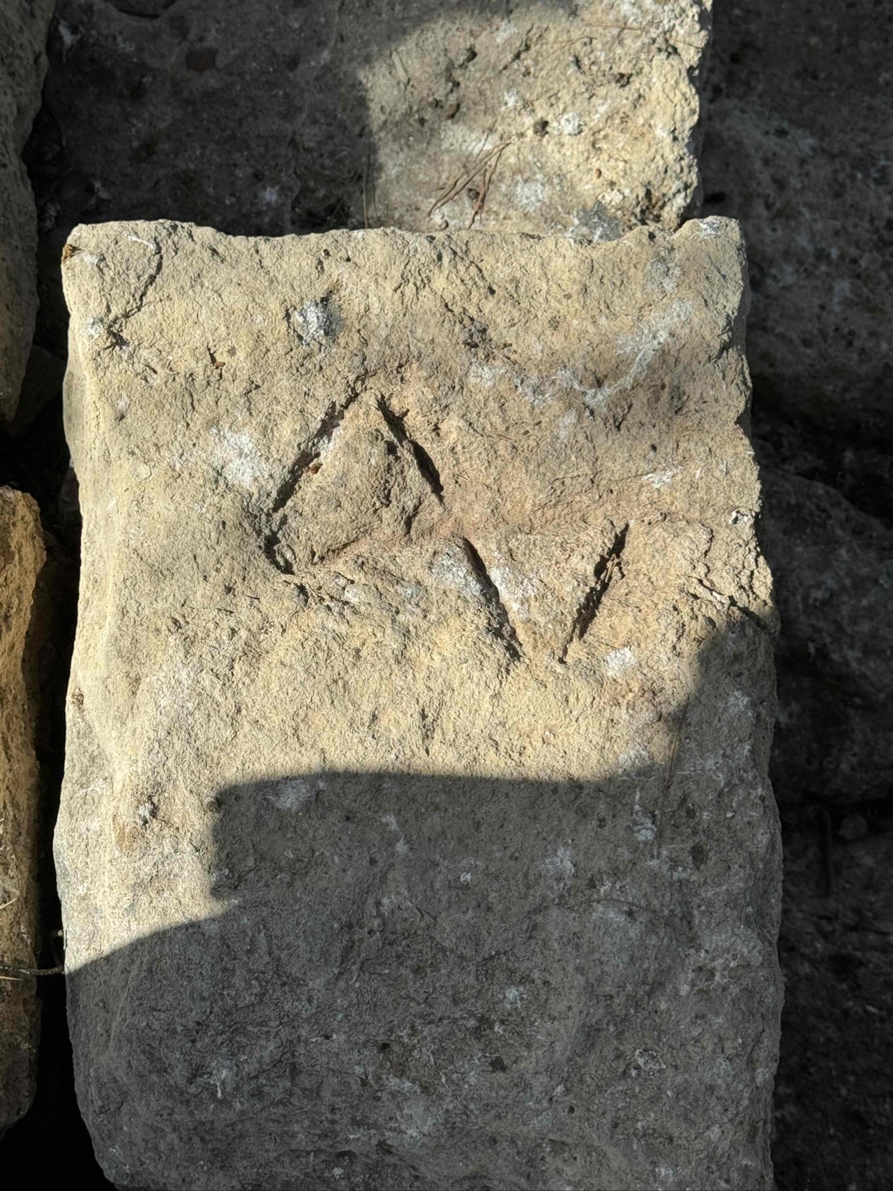 The ancient Cretan word for 'double axe' is believed to be labrys. Many historians connect this to Labyrinthos ('House of the Double Axe'), which later gave the Palace of Knossos its famous name.