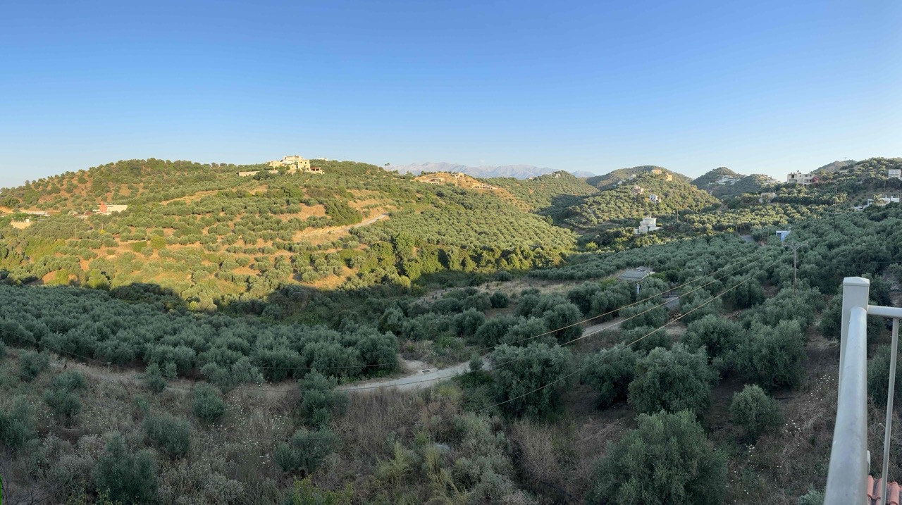 View from the deck of our dinner (Koumos Estate)